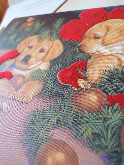 クリスマスカード*ベルベットのリボンとYラブパピー